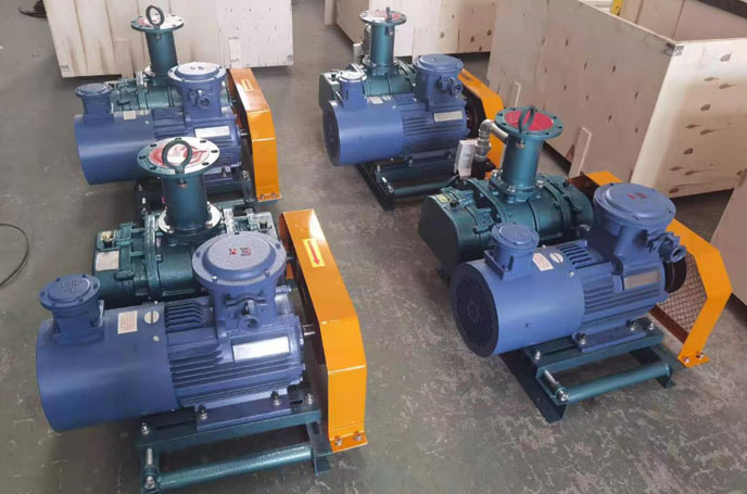 沼氣輸送羅茨風機 化工行業用羅茨風機沼氣輸送案例(圖2)